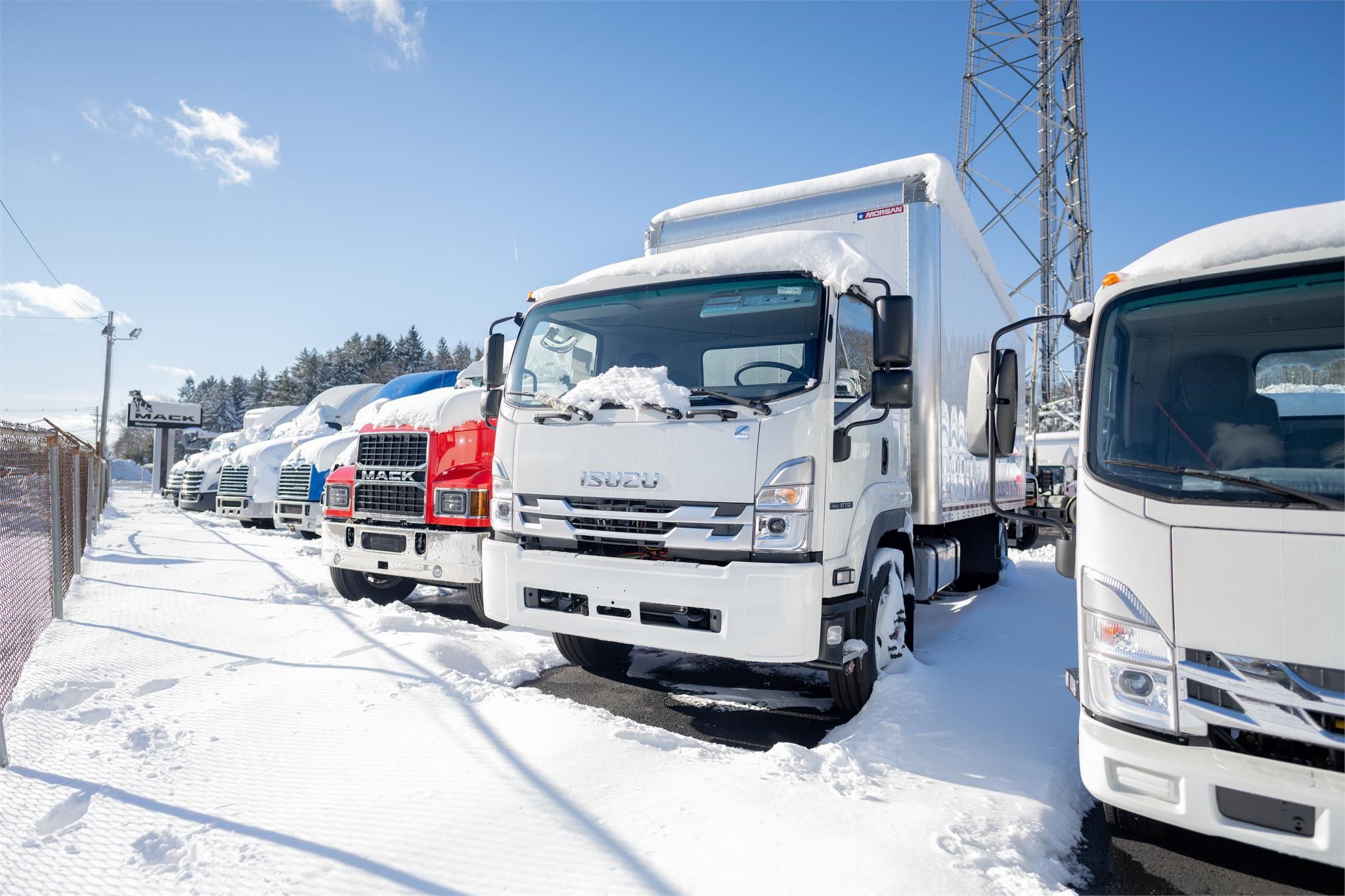 2024 ISUZU FTR - image 6 of 6